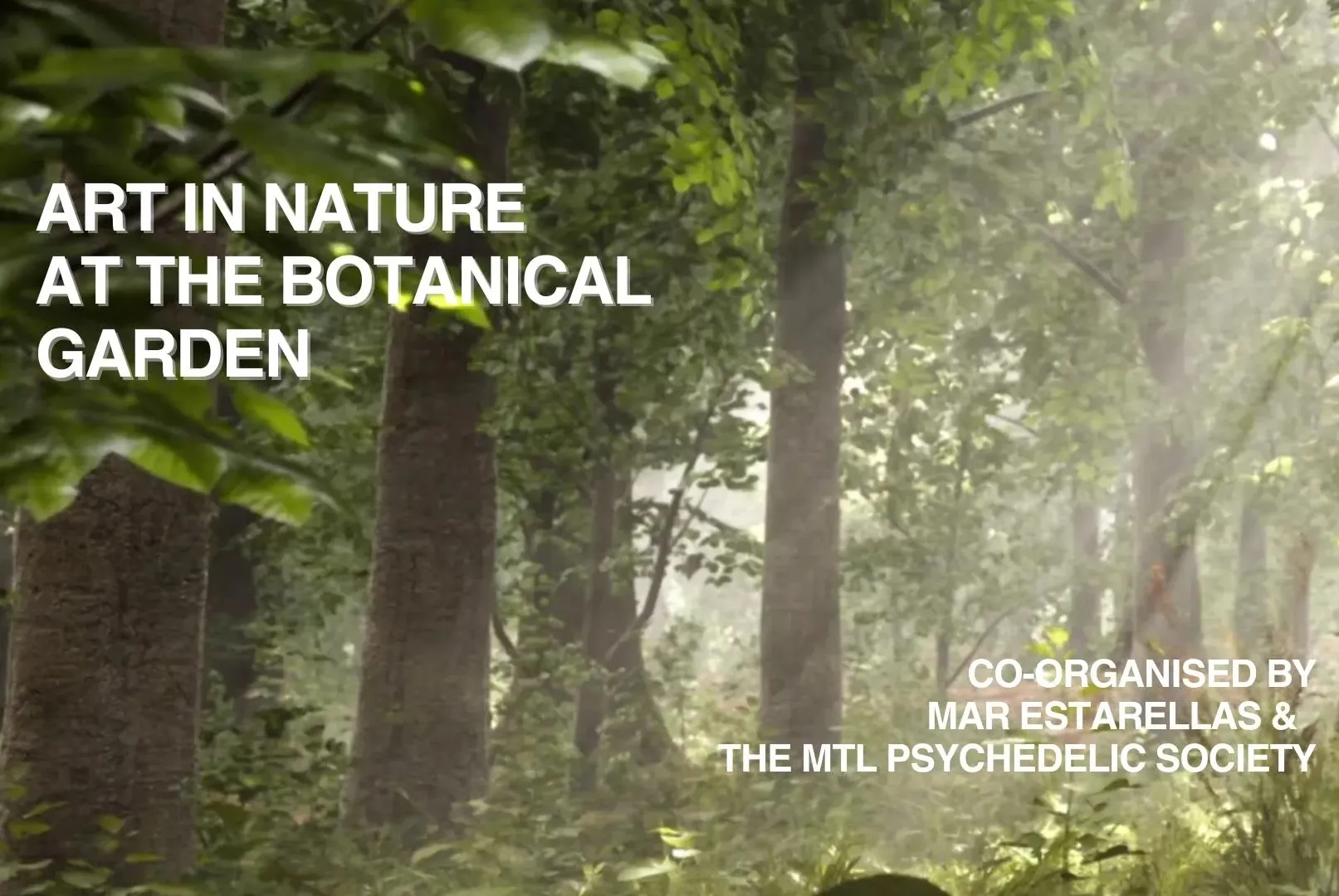 The Art of Nature — image 1