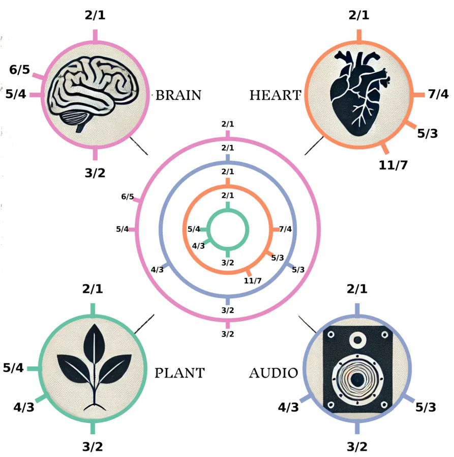 Biotuner: A Python Toolbox Integrating Music Theory and Signal Processing for Harmonic Analysis of Physiological and Natural Time Series
