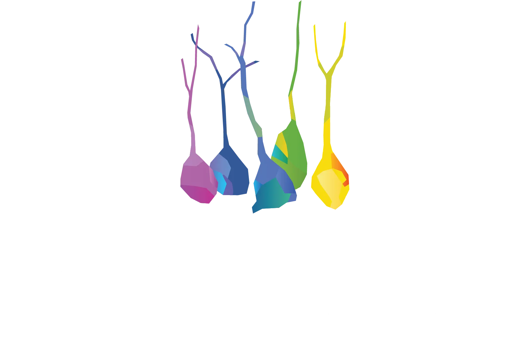 Convergence
