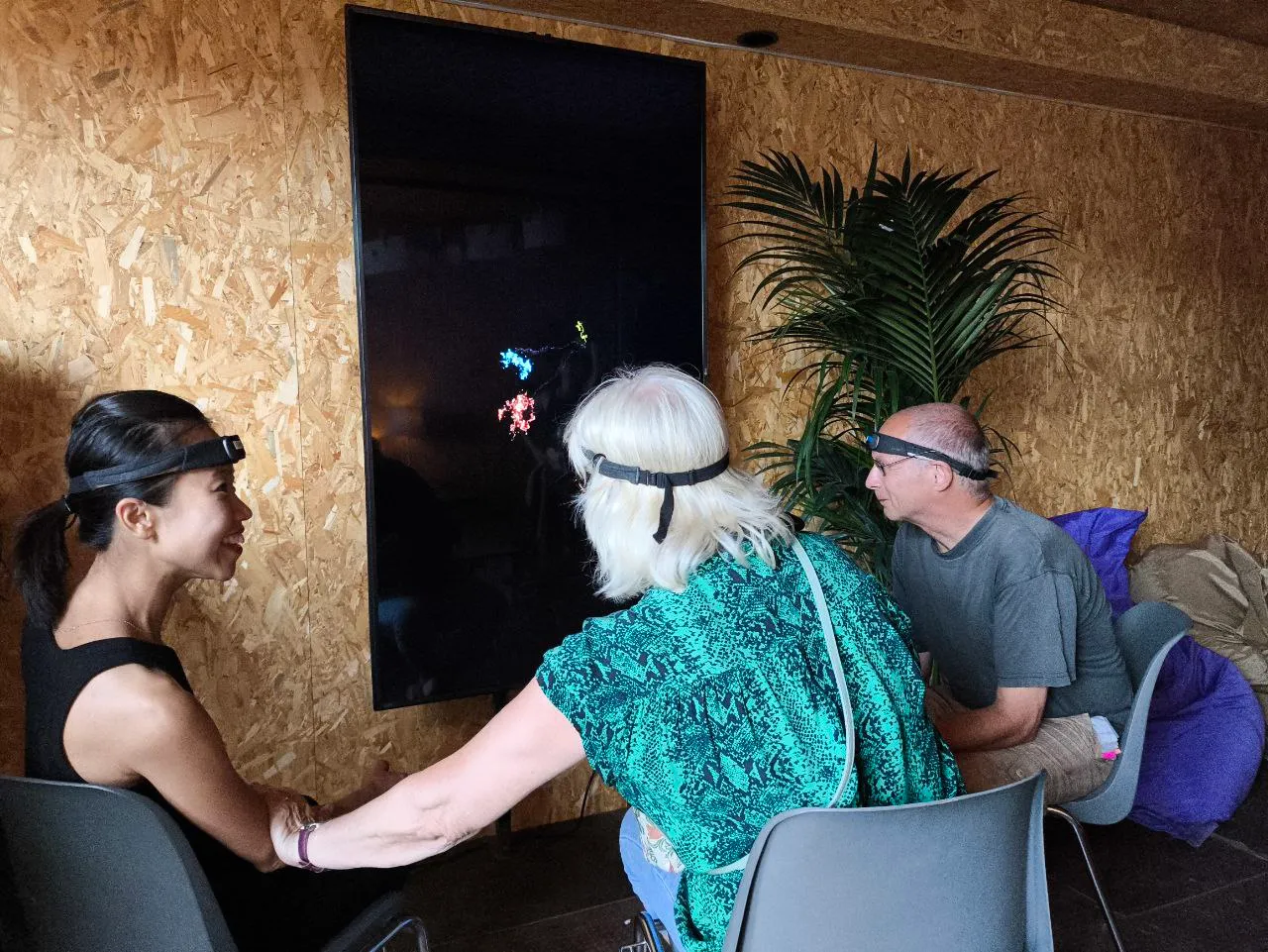 Hyperscanning EEG Constellation — image 2