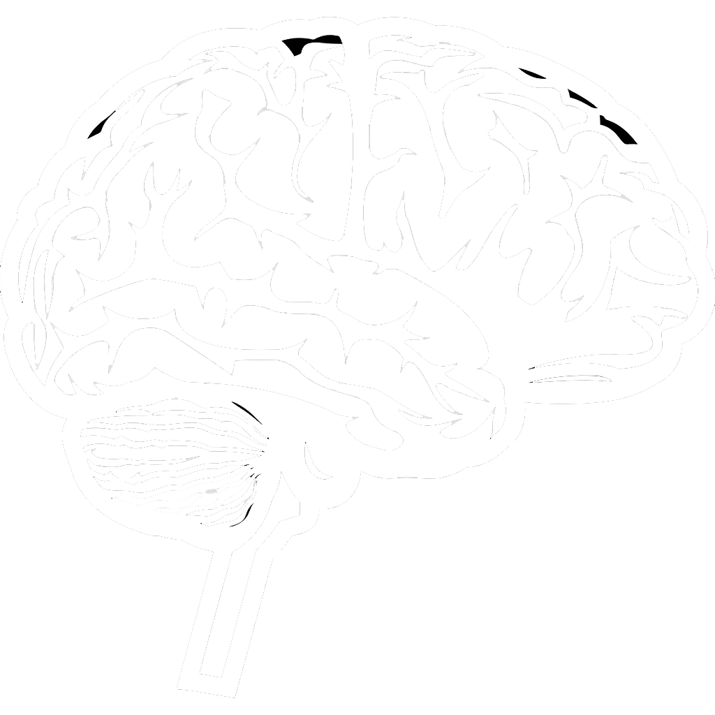 Neuroscience